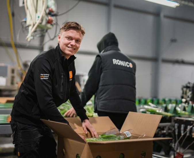 Kwaliteitscontrole Tulpenverpakking